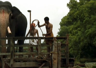 Ein imposanter indischer Elefant seht mit seinem Mahut auf der Fähre. Der Fährführer bindet die Fähre los.